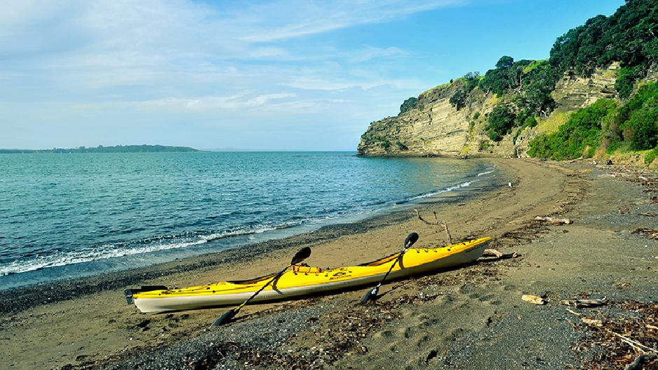 Take a guided kayak paddle tour to a rarely visited slice of paradise, Browns Island, where you can explore its stunning natural beauty...